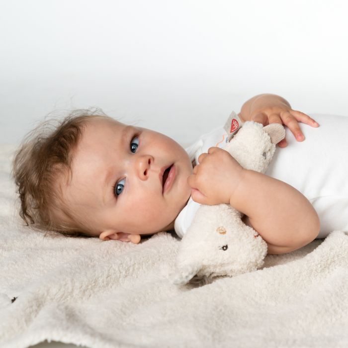 Llama Grabber - Image 3