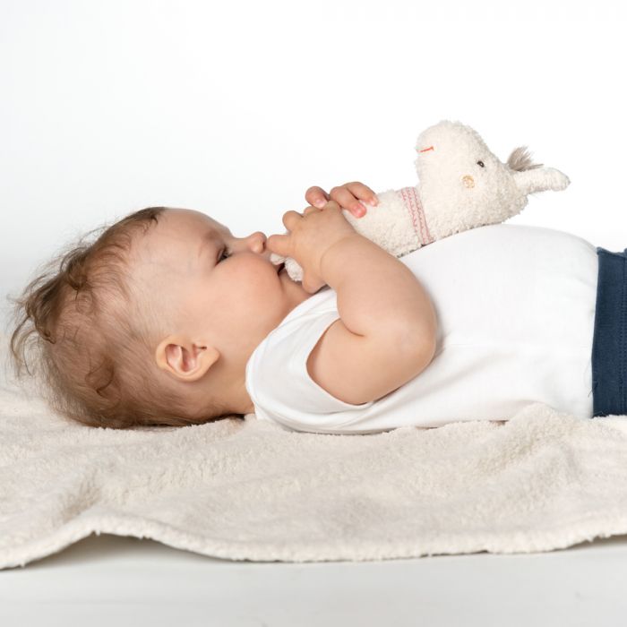 Llama Grabber - Image 5