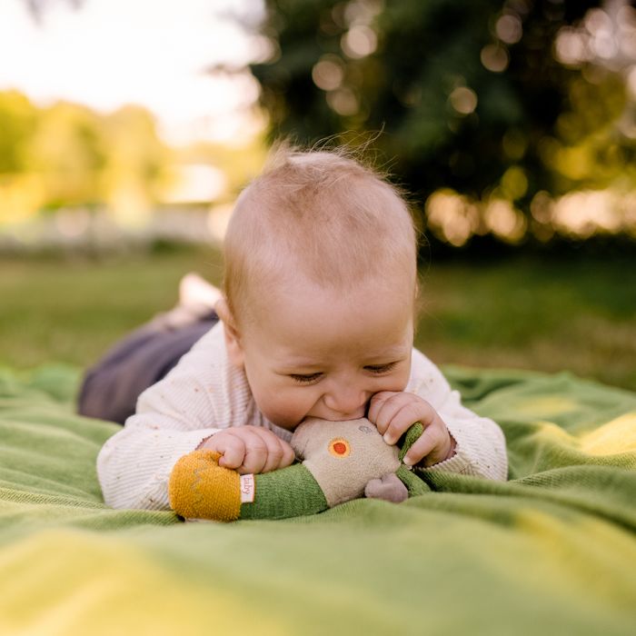 Giraffe Grabber - Image 2