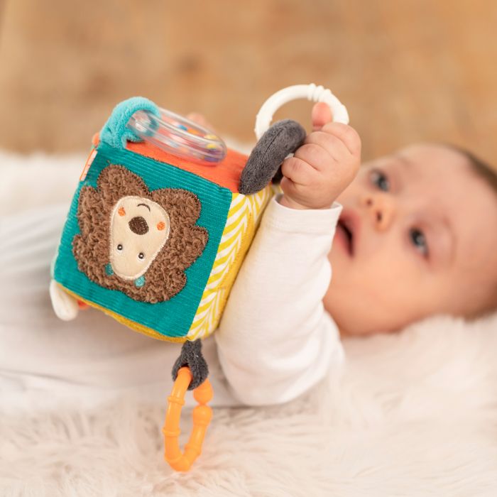 Fehn Toys Activity Cube Funky Friends - Image 6