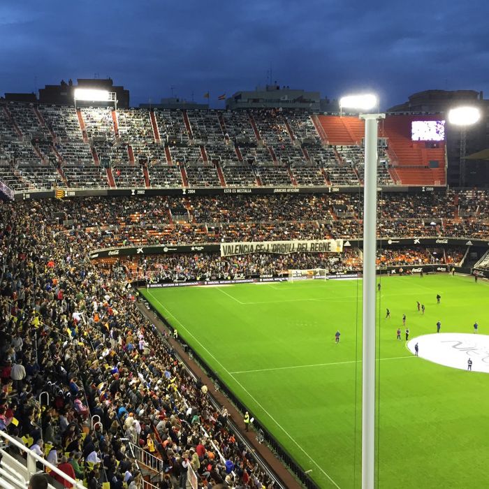 SilentGuard Baby Capsule Ear Protectors - Pink - Image 11